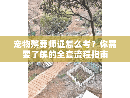 宠物殡葬师证怎么考？你需要了解的全套流程指南