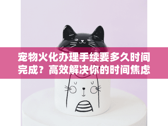 宠物火化办理手续要多久时间完成？高效解决你的时间焦虑