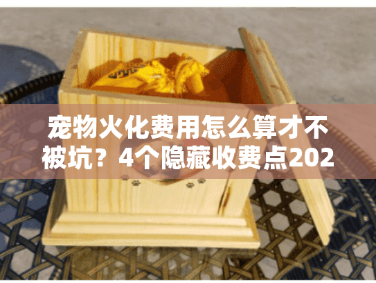 宠物火化费用怎么算才不被坑？4个隐藏收费点2025实测拆解