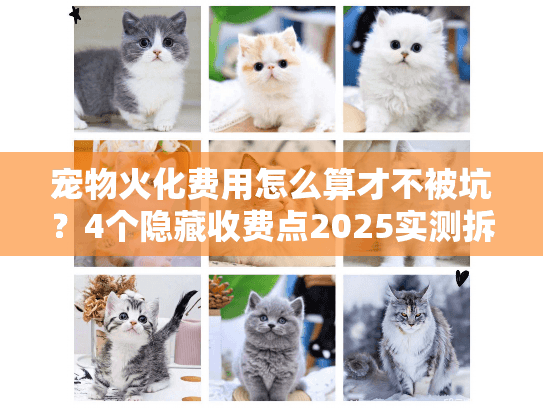 宠物火化费用怎么算才不被坑？4个隐藏收费点2025实测拆解