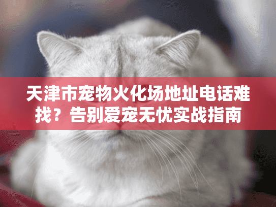 天津市宠物火化场地址电话难找?告别爱宠无忧实战指南 天津市宠物火化场地址电话难找?告别爱宠无忧实战指南