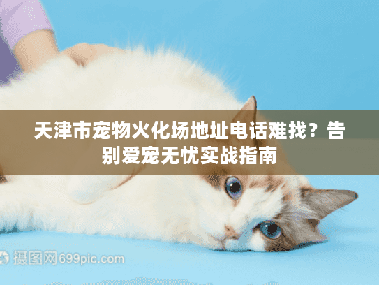 天津市宠物火化场地址电话难找?告别爱宠无忧实战指南 天津市宠物火化场地址电话难找?告别爱宠无忧实战指南