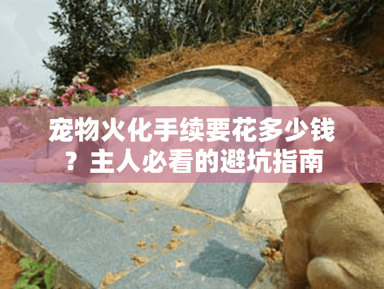 宠物火化手续要花多少钱？主人必看的避坑指南