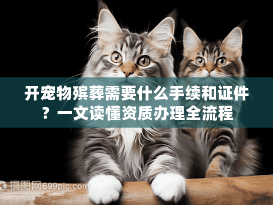 开宠物殡葬需要什么手续和证件？一文读懂资质办理全流程