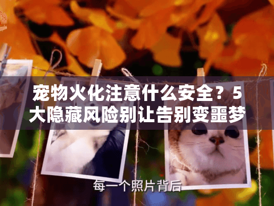 宠物火化注意什么安全?5大隐藏风险别让告别变噩梦 宠物火化注意什么安全?5大隐藏风险别让告别变噩梦
