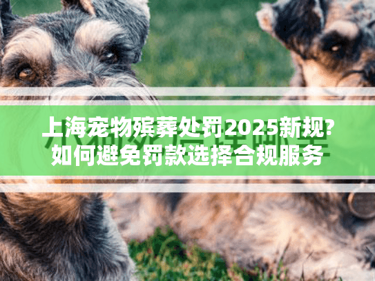 上海宠物殡葬处罚2025新规?如何避免罚款选择合规服务