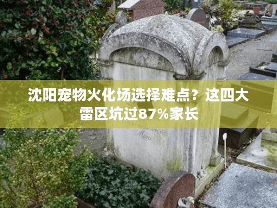 沈阳宠物火化场选择难点？这四大雷区坑过87%家长