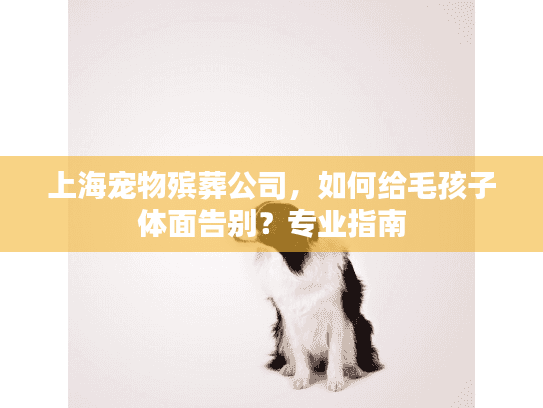 上海宠物殡葬公司，如何给毛孩子体面告别？专业指南