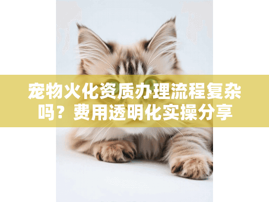 宠物火化资质办理流程复杂吗？费用透明化实操分享