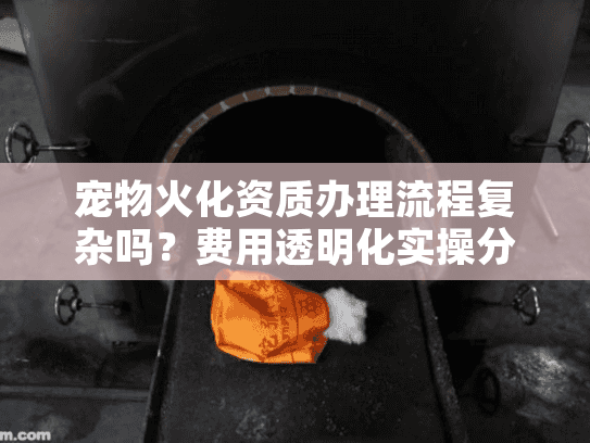 宠物火化资质办理流程复杂吗？费用透明化实操分享