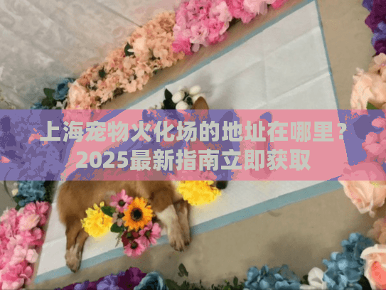上海宠物火化场的地址在哪里？2025最新指南立即获取