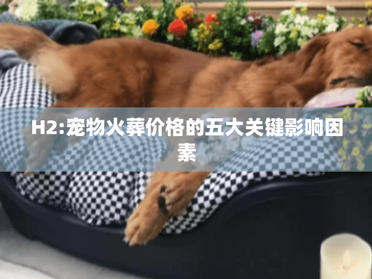 H2:宠物火葬价格的五大关键影响因素