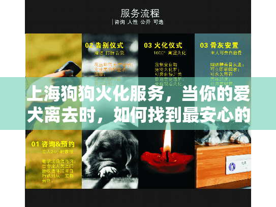上海狗狗火化服务，当你的爱犬离去时，如何找到最安心的告别方式？