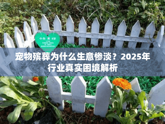 宠物殡葬为什么生意惨淡？2025年行业真实困境解析