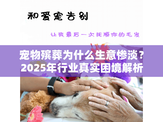 宠物殡葬为什么生意惨淡？2025年行业真实困境解析