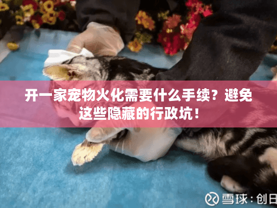 开一家宠物火化需要什么手续？避免这些隐藏的行政坑！