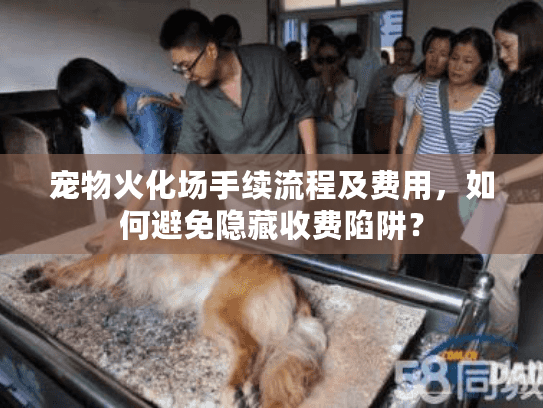 宠物火化场手续流程及费用，如何避免隐藏收费陷阱？