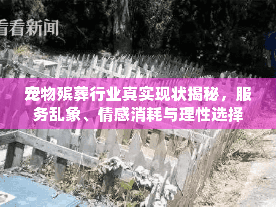 宠物殡葬行业真实现状揭秘，服务乱象、情感消耗与理性选择