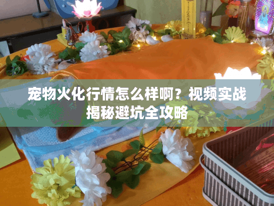宠物火化行情怎么样啊?视频实战揭秘避坑全攻略 宠物火化行情怎么样啊?视频实战揭秘避坑全攻略