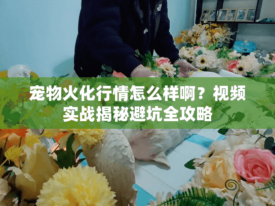宠物火化行情怎么样啊?视频实战揭秘避坑全攻略 宠物火化行情怎么样啊?视频实战揭秘避坑全攻略