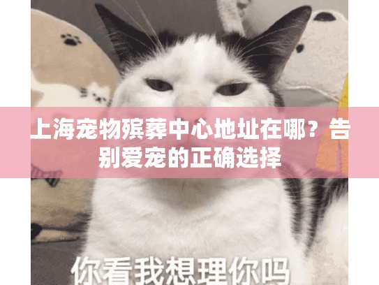 上海宠物殡葬中心地址在哪？告别爱宠的正确选择