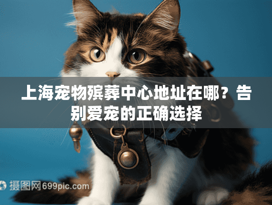 上海宠物殡葬中心地址在哪？告别爱宠的正确选择