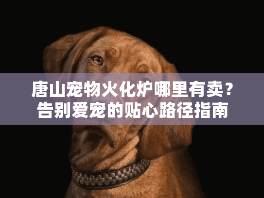 唐山宠物火化炉哪里有卖?告别爱宠的贴心路径指南 唐山宠物火化炉哪里有卖?告别爱宠的贴心路径指南