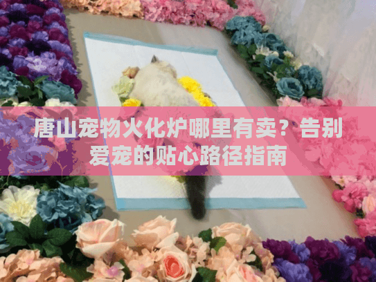 唐山宠物火化炉哪里有卖?告别爱宠的贴心路径指南 唐山宠物火化炉哪里有卖?告别爱宠的贴心路径指南