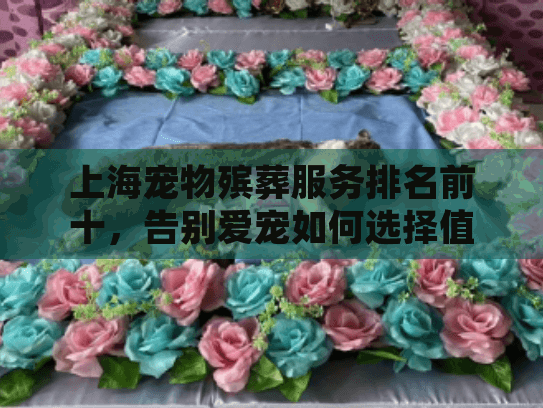 上海宠物殡葬服务排名前十，告别爱宠如何选择值得信赖的机构？