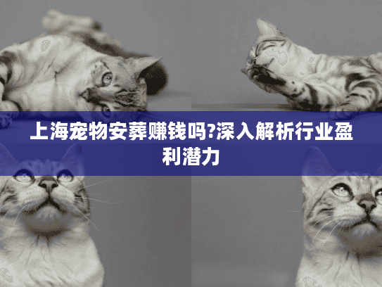 上海宠物安葬赚钱吗?深入解析行业盈利潜力