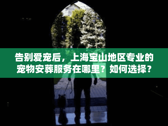 告别爱宠后，上海宝山地区专业的宠物安葬服务在哪里？如何选择？