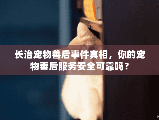 长治宠物善后事件真相，你的宠物善后服务安全可靠吗？