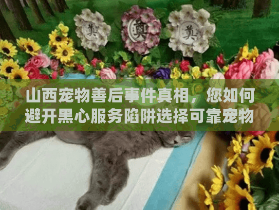 山西宠物善后事件真相，您如何避开黑心服务陷阱选择可靠宠物殡葬？