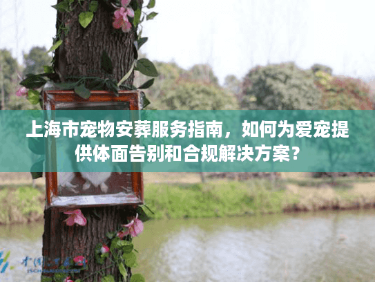 上海市宠物安葬服务指南，如何为爱宠提供体面告别和合规解决方案？