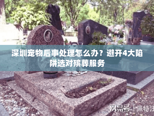 深圳宠物后事处理怎么办？避开4大陷阱选对殡葬服务