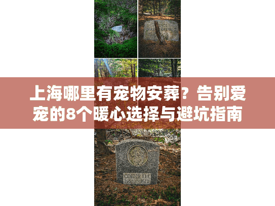 上海哪里有宠物安葬？告别爱宠的8个暖心选择与避坑指南