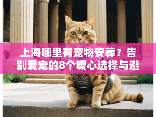 上海哪里有宠物安葬？告别爱宠的8个暖心选择与避坑指南