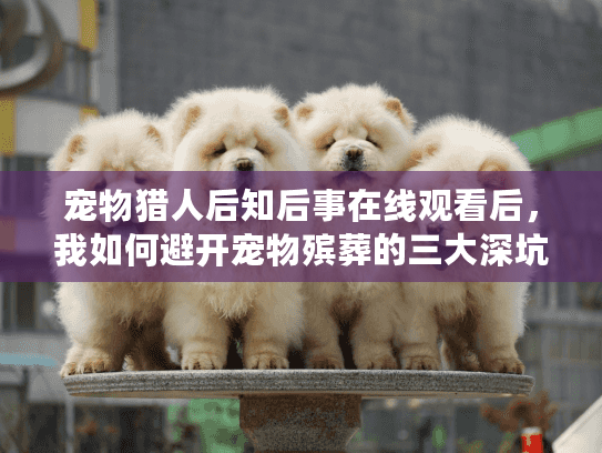 宠物猎人后知后事在线观看后，我如何避开宠物殡葬的三大深坑？