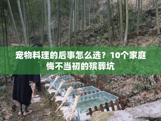 宠物料理的后事怎么选？10个家庭悔不当初的殡葬坑