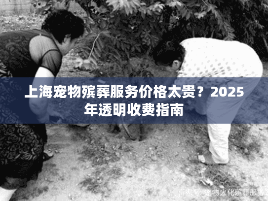 上海宠物殡葬服务价格太贵？2025年透明收费指南