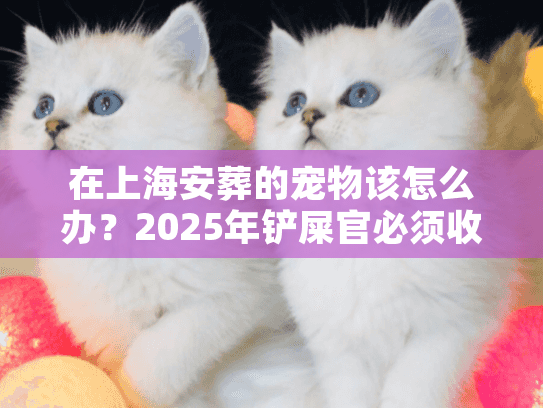 在上海安葬的宠物该怎么办？2025年铲屎官必须收藏的服务指南