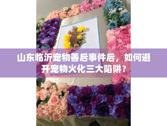 山东临沂宠物善后事件后，如何避开宠物火化三大陷阱？