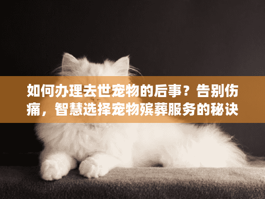 如何办理去世宠物的后事？告别伤痛，智慧选择宠物殡葬服务的秘诀