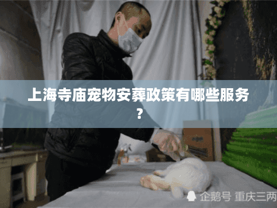 上海寺庙宠物安葬政策有哪些服务？