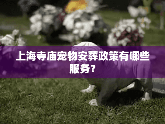 上海寺庙宠物安葬政策有哪些服务？