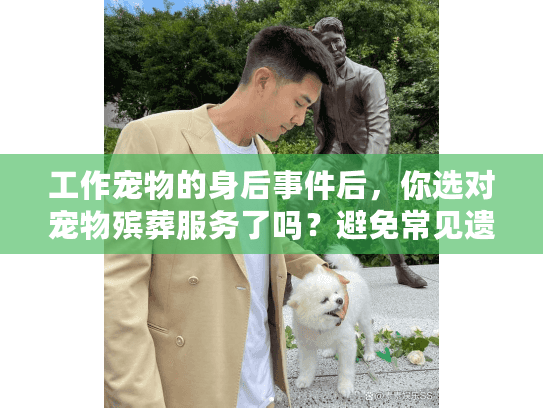 工作宠物的身后事件后，你选对宠物殡葬服务了吗？避免常见遗憾