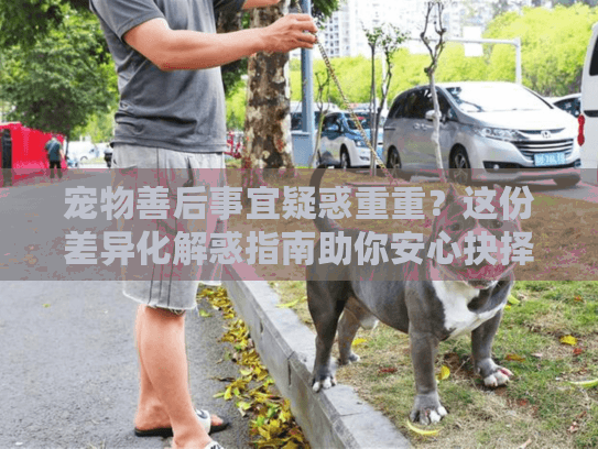 宠物善后事宜疑惑重重？这份差异化解惑指南助你安心抉择