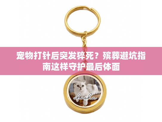 宠物打针后突发猝死?殡葬避坑指南这样守护最后体面 宠物打针后突发猝死?殡葬避坑指南这样守护最后体面