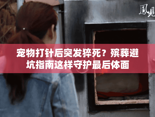 宠物打针后突发猝死?殡葬避坑指南这样守护最后体面 宠物打针后突发猝死?殡葬避坑指南这样守护最后体面