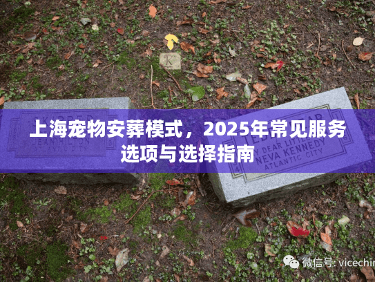 上海宠物安葬模式，2025年常见服务选项与选择指南